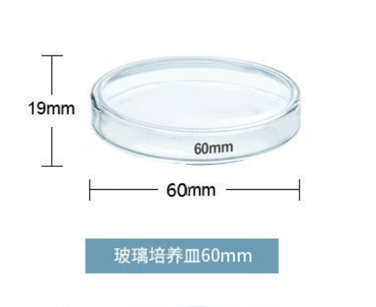 玻璃培养皿（自营）